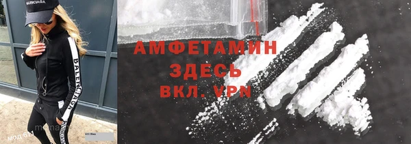 СК Ельня