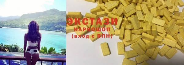 СК Ельня
