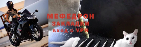 СК Ельня