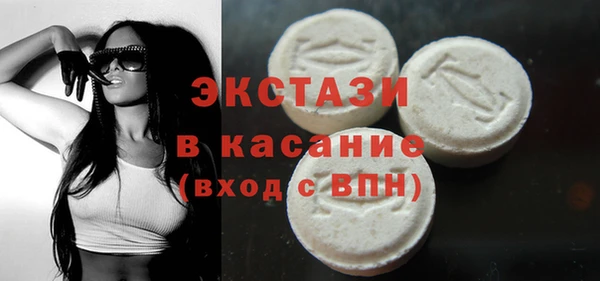 СК Ельня