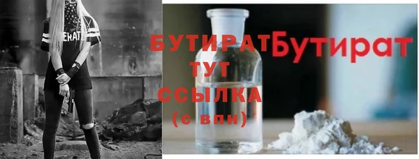 СК Ельня
