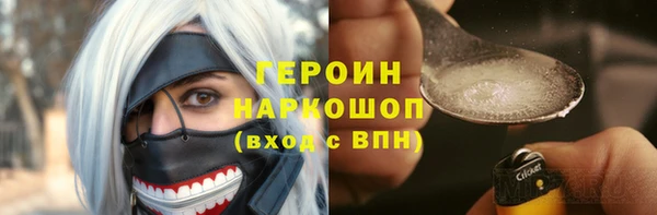 СК Ельня