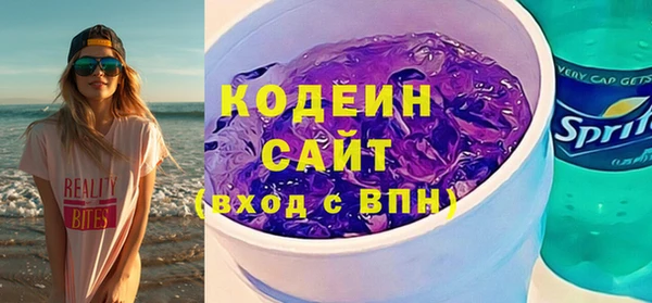 СК Ельня