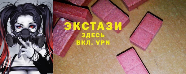 СК Ельня
