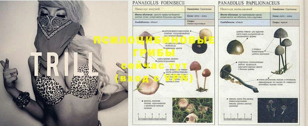 MDMA Premium VHQ Елизово